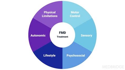 Functional Neurological Disorders Evidence And Applications In