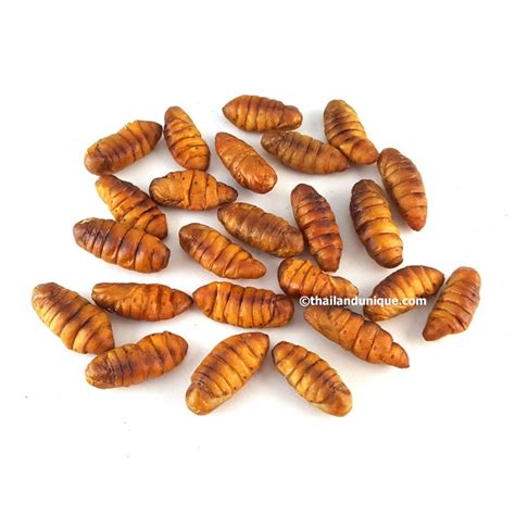 Edible Silkworm Pupae Bombyx Mori