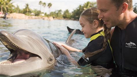 Best Places To Swim With Dolphins In Florida Florida Rentals Blog