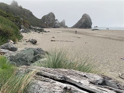 Harris beach state park in brookings is rated 9.1 of 10 at campground reviews. Harris Beach State Park (Brookings) - 2020 All You Need to ...
