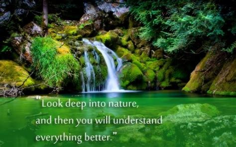 Free Download Nature Wallpapers Nature Quotes Best Nature Quotes