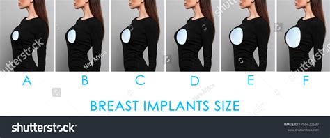 289 Afbeeldingen Voor Comparing Breasts Afbeeldingen Stockfoto‘s En Vectoren Shutterstock