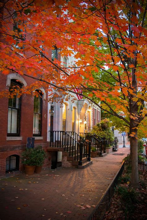 Washington Dc In The Fall Travel Guide Momma Wanderlust