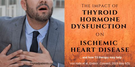 The Impact Of Thyroid Hormone Dysfunction On Ischemic Heart Disease