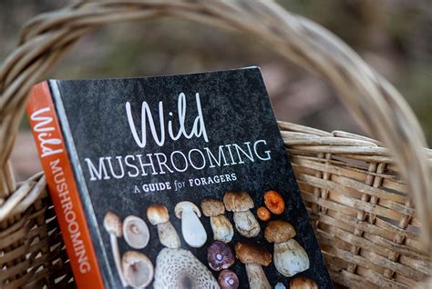 Feasting On Fungi Wild Mushrooming In Australia Csiro Publishing