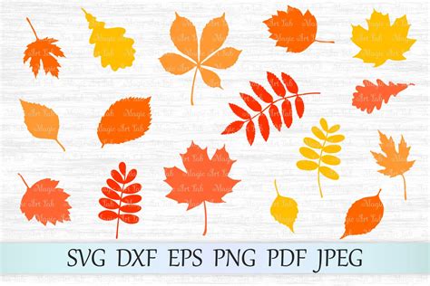 33 Free Svg Autumn Leaves Png Free Svg Files Silhouette And Cricut