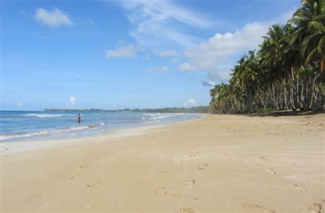 playa coson in las terrenas dominican republic