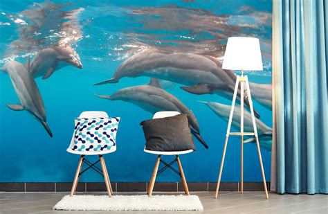 3d Cute Dolphin 224 Wall Murals Aj Wallpaper