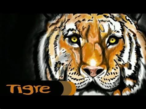 COMO DESENHAR UM TIGRE Passo A Passo How To Draw Tiger YouTube
