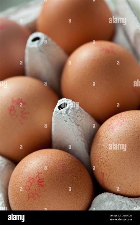 6 Half Dozen Egg Hi Res Stock Photography And Images Alamy