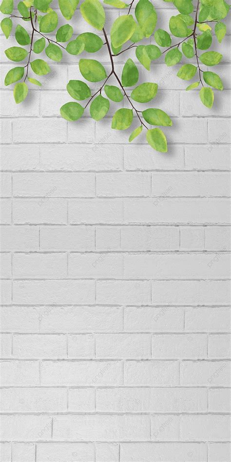 Wall Floral Wallpaper Brick Wall Wallpaper Background Plants Brick