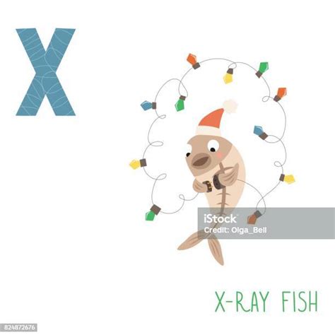 Vector Cute Kids Animal Alphabet Letter X For Xray Fish Stock