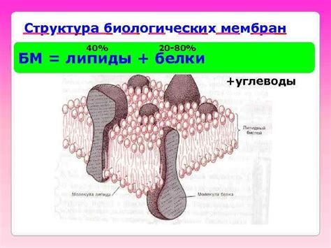 Лекция 5 Биологические мембраны Биоэлектрогенез Содержание лекции