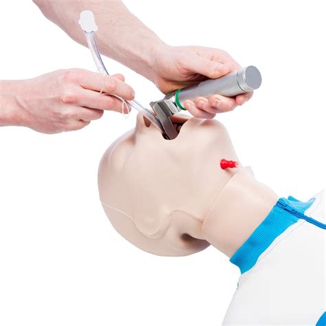 3b Scientific P71ah Airway Management Intubation Head For Cprlillypro