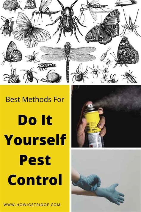 Best Methods For Do It Yourself Pest Control How I Get Rid Of