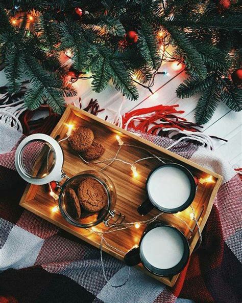 20 Amazing Pictures To Bring Christmas Vibes Obsigen