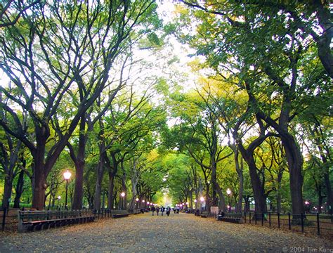 Central Park New York City Tourist Destinations