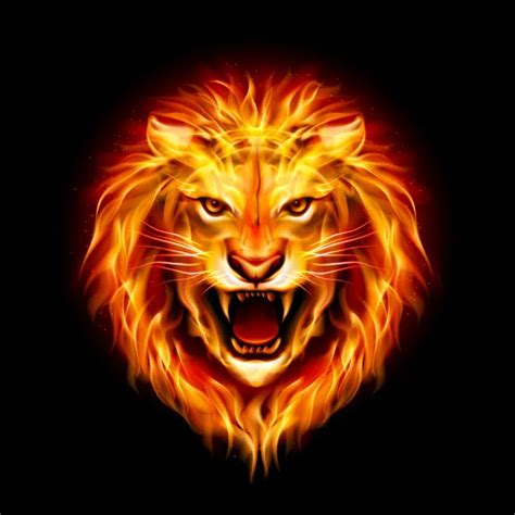 Roar Stock Vectors Royalty Free Roar Illustrations Depositphotos