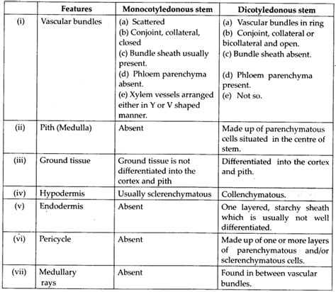Ncert Solutions For Class 11 Biology Anatomy Of Flowering Plants