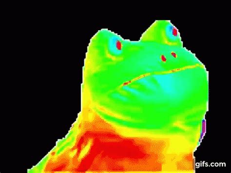 An Image Of A Frog That Is In Color