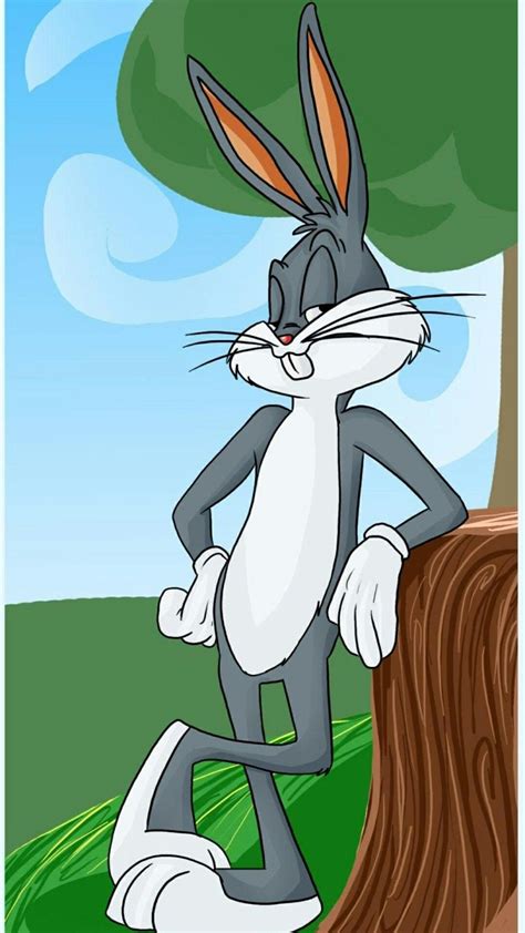 Box Bunny Bugs Bunny Cartoons Bugs Bunny Drawing Looney Tunes Wallpaper