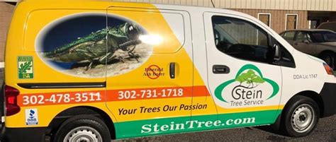 A Professional Tree Care Service Company Offers Competitive Advantage