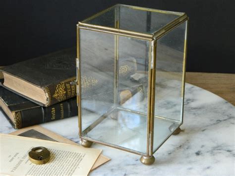 Vintage Glass And Brass Curio Display Box