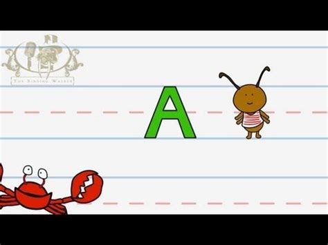 Outwardly, these animals are very similar to seals, but unlike them they have amazing flexibility and agility. Alphabet: write the letter A - The Singing Walrus - ABC ...