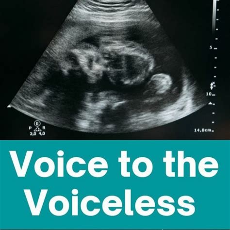 Voice to the Voiceless