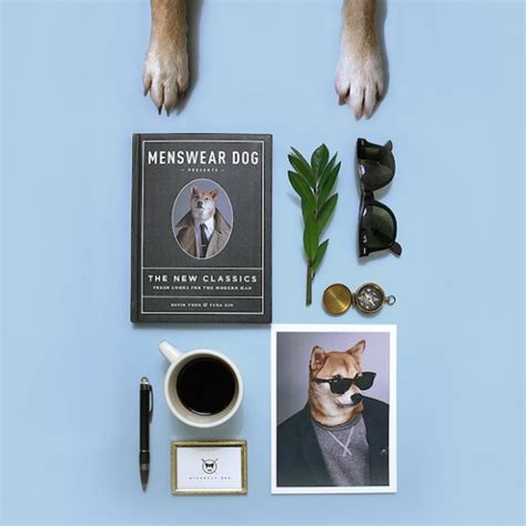 Menswear Dog Book The Coolector