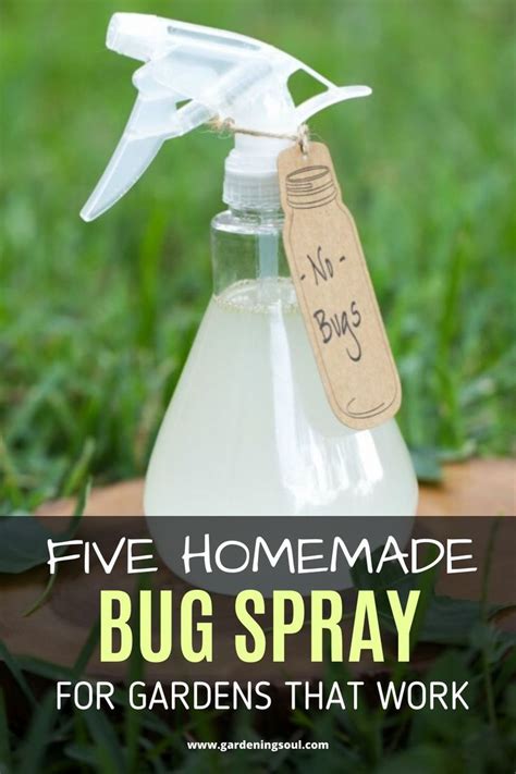 Five Homemade Bug Spray For Gardens That Work Homemade Bug Spray Diy