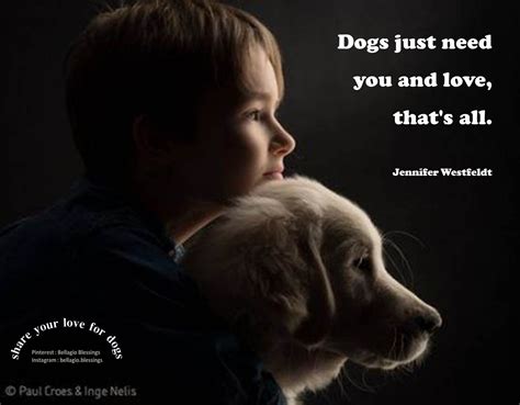 Animal Shelter Rescue Dog Quotes Shortquotescc
