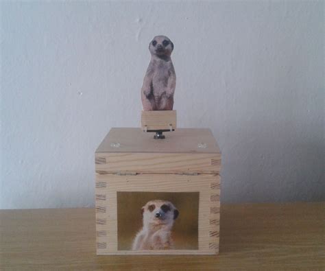 Dancing Meerkat 5 Steps With Pictures Instructables