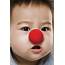Red Nose Day Supports SIDS And Stillbirth – The Echo