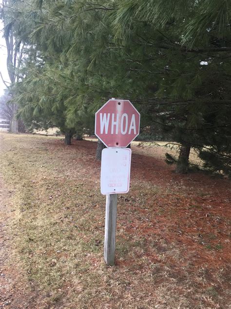 This Stop Sign Just Says Woah Mildlyinteresting