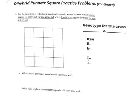 Each genotype shown in the punnett square has a 25 chance of occuring. Solved: Dihybrid Punnett Square Practice Problems Directio ...