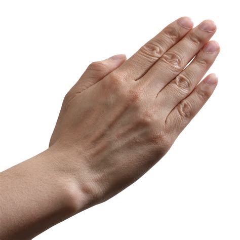 Hands Png Hand Image Free Transparent Image Download Size 2500x2500px