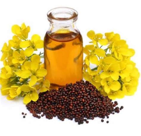 Mustard Oil For Your Strong Flavour Cooking Free Stuffs