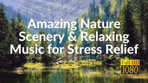 Amazing Nature Scenery And Relaxing Music For Stress Relief Youtube