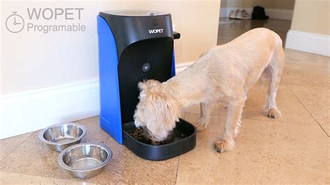 Automatic Dog Cat Pet Feeder Time And Portions Programed Youtube