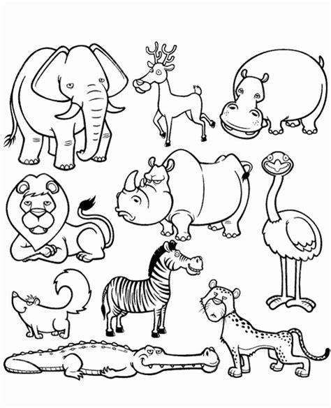 Animal Coloring Page African Animal Coloring Page