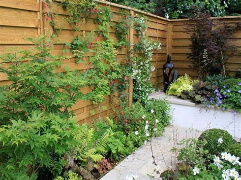 The Best Climbing Plants For Fencing Jacksons Fencing