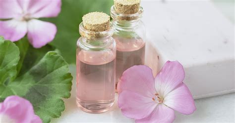 Benefits And Uses Of Geranium Oil For Acne And Other Skin Problems