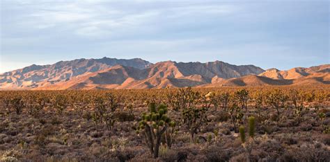 The Best Hikes In The Mojave Desert