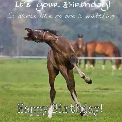 Horse Saying Happy Birthday 17 Best Images About Birthday Greetings