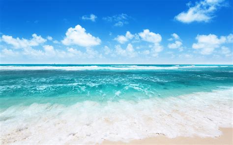 Free Download Ocean Waves Wallpaper Beach Wallpaper Ocean 2560x1600