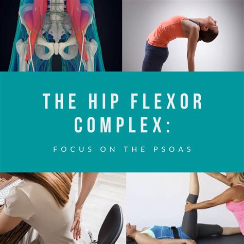 The Hip Flexor Complex Focus On The Psoas