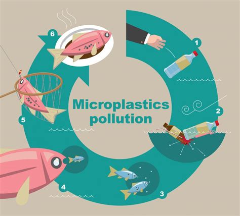 Microplastics Microbeads And Single Use Plastics Poisoning Sea Life