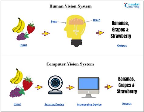 Computer Vision Vs Human Vision
