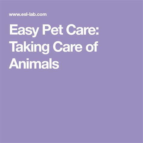 Easy Pet Care Taking Care Of Animals Pet Care Easy Pets Care